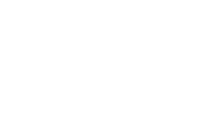 logo main